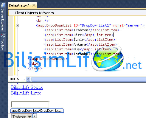 ASP.NET Button Click Olayı