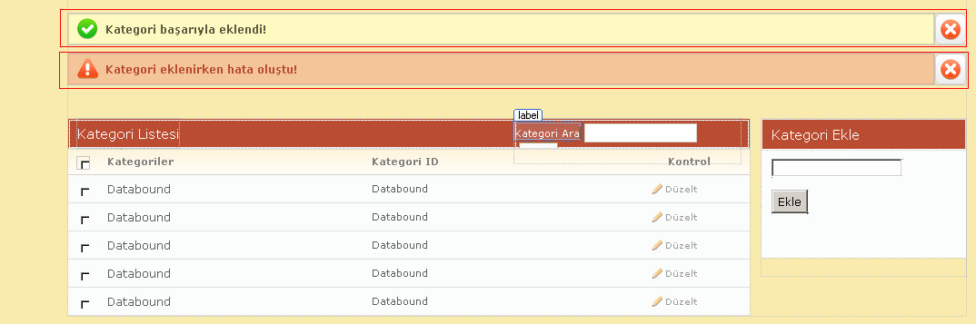 ASP.NET Web Forms Visible Kullanımı