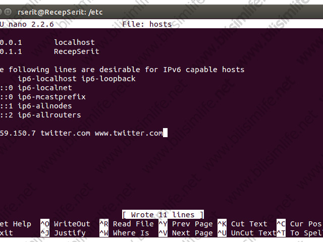 Linux’ta Hosts Dosyasını Düzenlemek