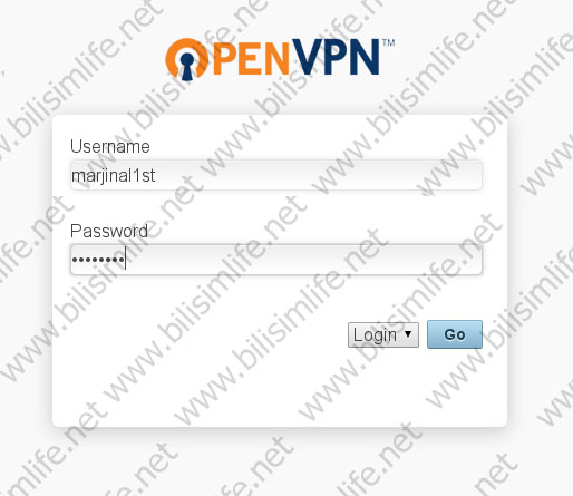 OpenVPN Sunucusu Kurulumu ve İstemci ile Bağlanma
