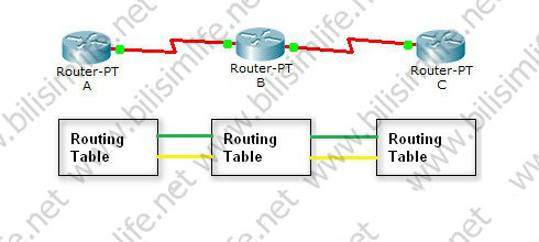 Routing (Distance Vector ve Link State)