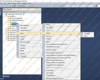 SQL Server Shrink İşlemi