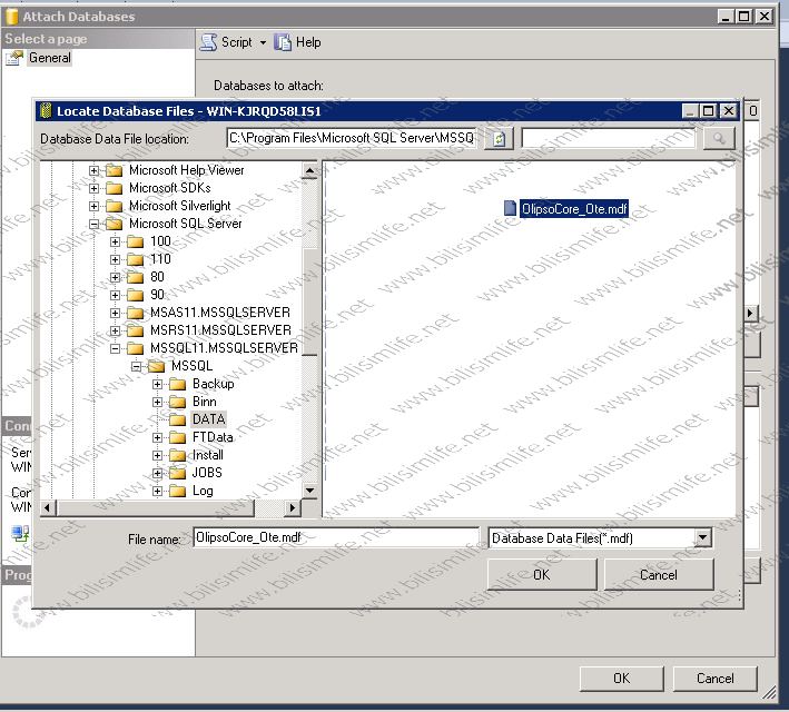 SQL Server Log Dosyasını Silmek