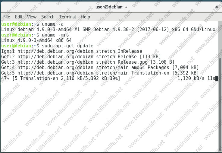 Stack Clash (CVE-2017-1000364) Zaafiyetinden Korunmak
