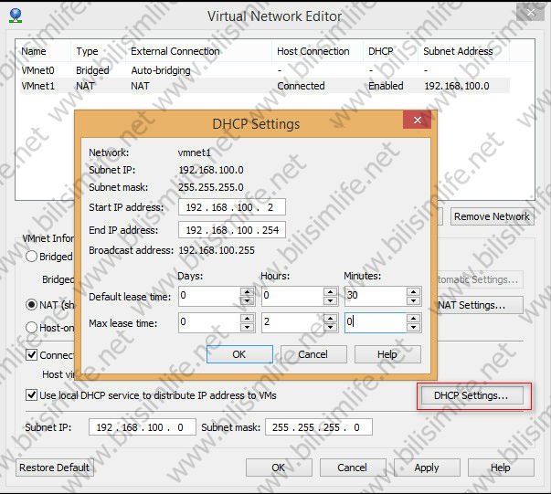 VMware Sanal Makineleri Aynı Ağa Dahil Etmek (VMnet)