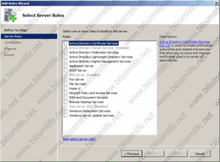 Windows Server 2008 R2’de Certification Authority Kurulumu