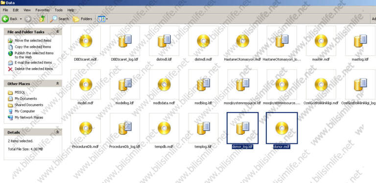 SQL Server’da Veritabanını İçeri Aktarmak – Attach Database