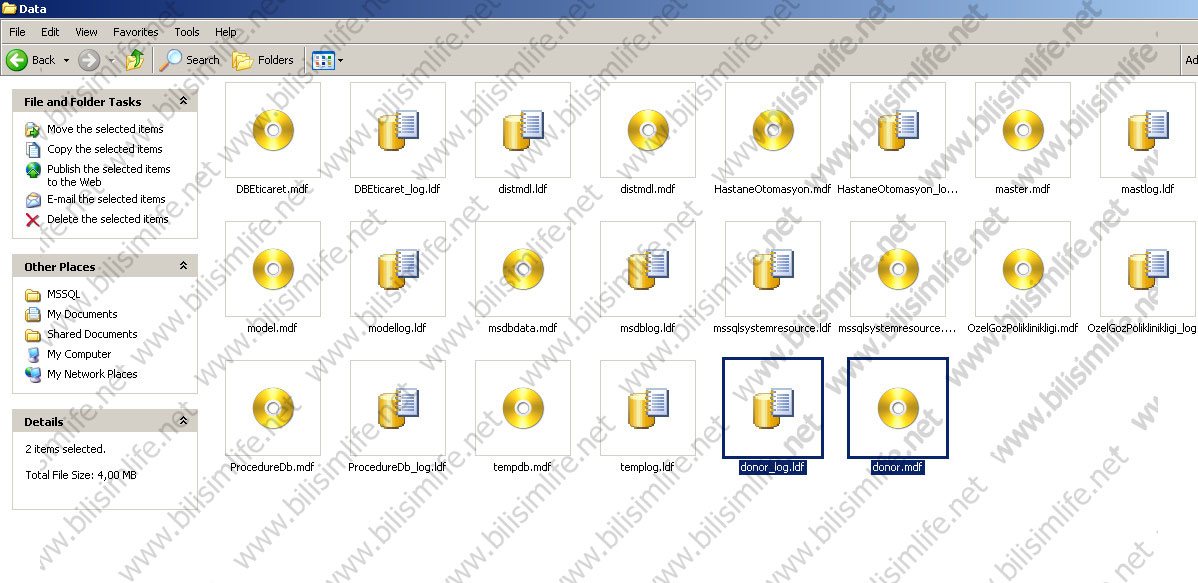 SQL Server’da Veritabanını İçeri Aktarmak – Attach Database