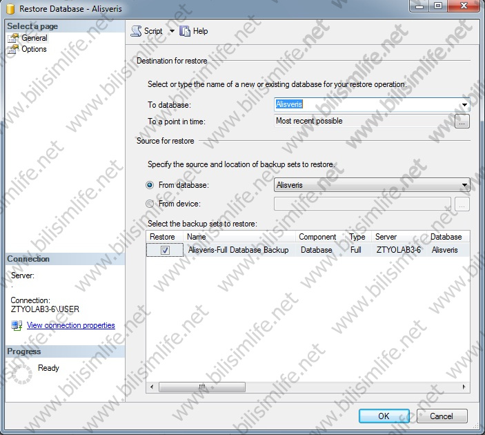 SQL Server’da Veritabanı Yedeklemek ve Geri Yüklemek