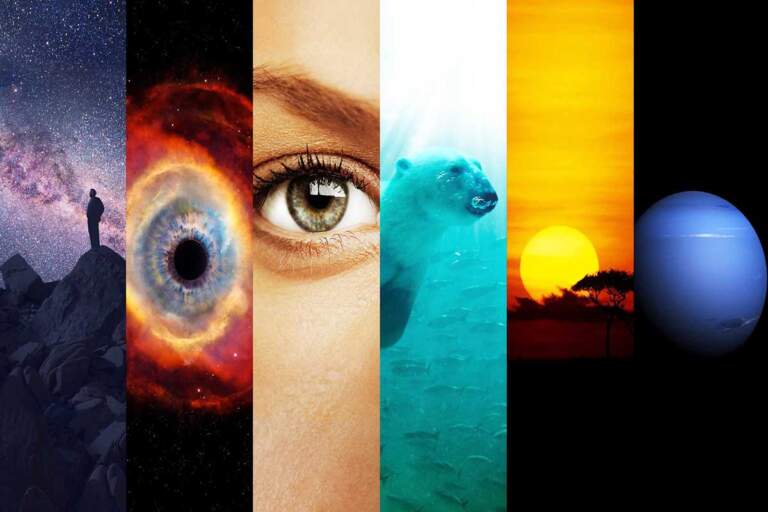 Cosmos: Bir Uzay Serüveni 2. Bölüm Notları