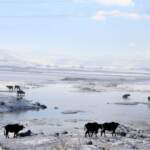 .NET Task Yönetiminde ConfigureAwaitOptions Kullanımı – Gelişmiş ConfigureAwait